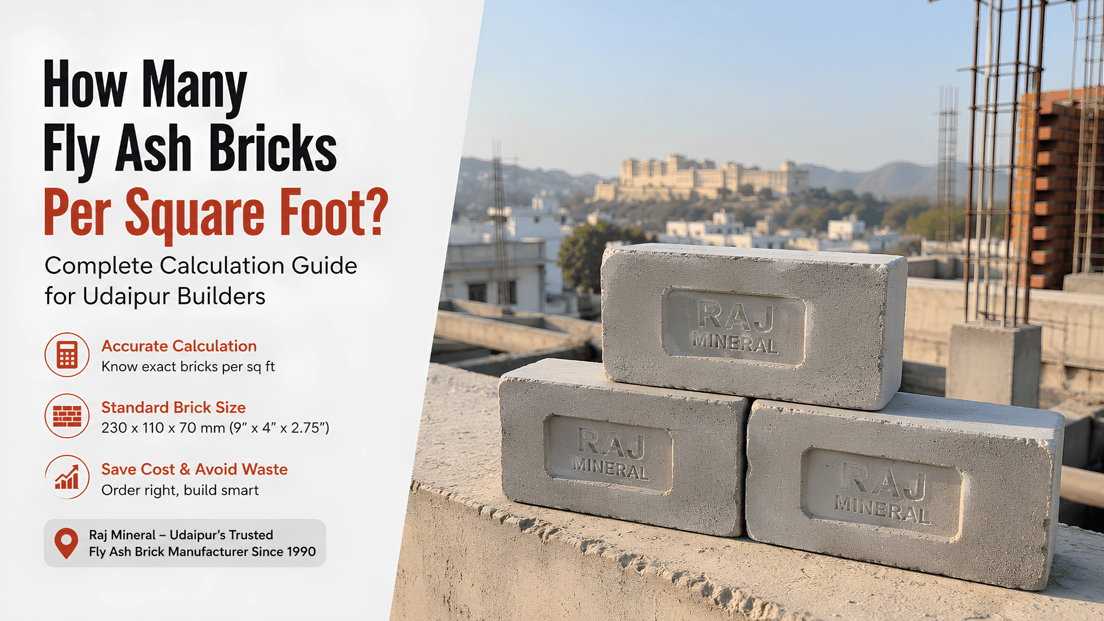 fly ash bricks