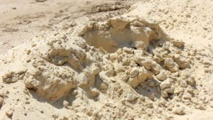 Fill Sand | Types of sand used in construction